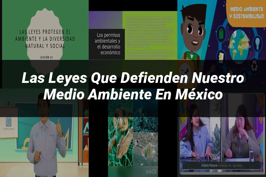 "Las Leyes que Defienden Nuestro Medio Ambiente en México"