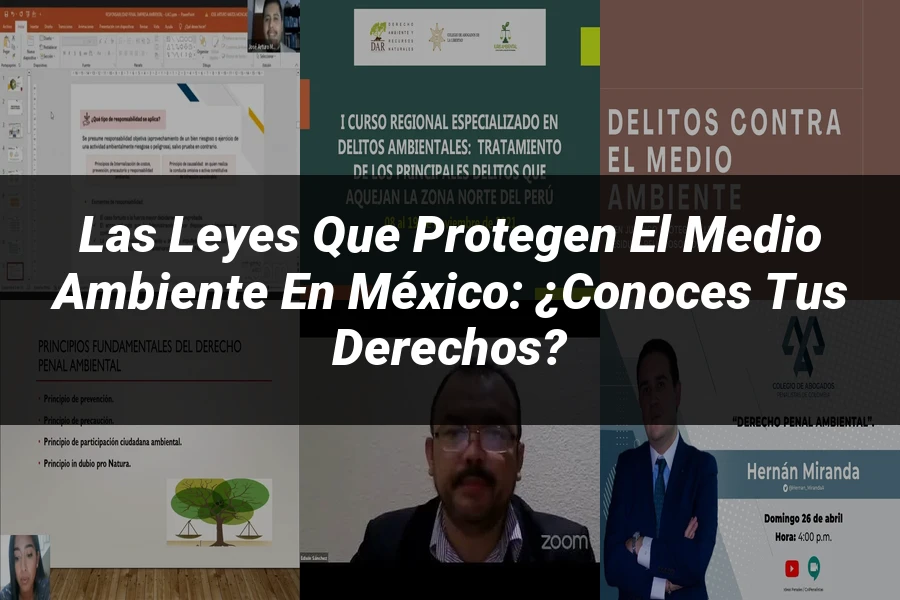 "Las Leyes que Protegen el Medio Ambiente en México: ¿Conoces tus Derechos?"