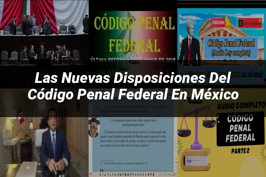 "Las Nuevas Disposiciones del Código Penal Federal en México"