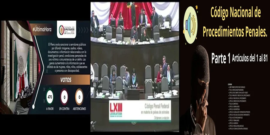 "Las Nuevas Disposiciones del Código Penal Federal en México"