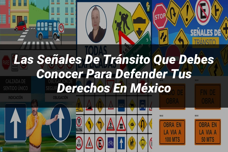 "Las Señales de Tránsito que Debes Conocer para Defender tus Derechos en México"