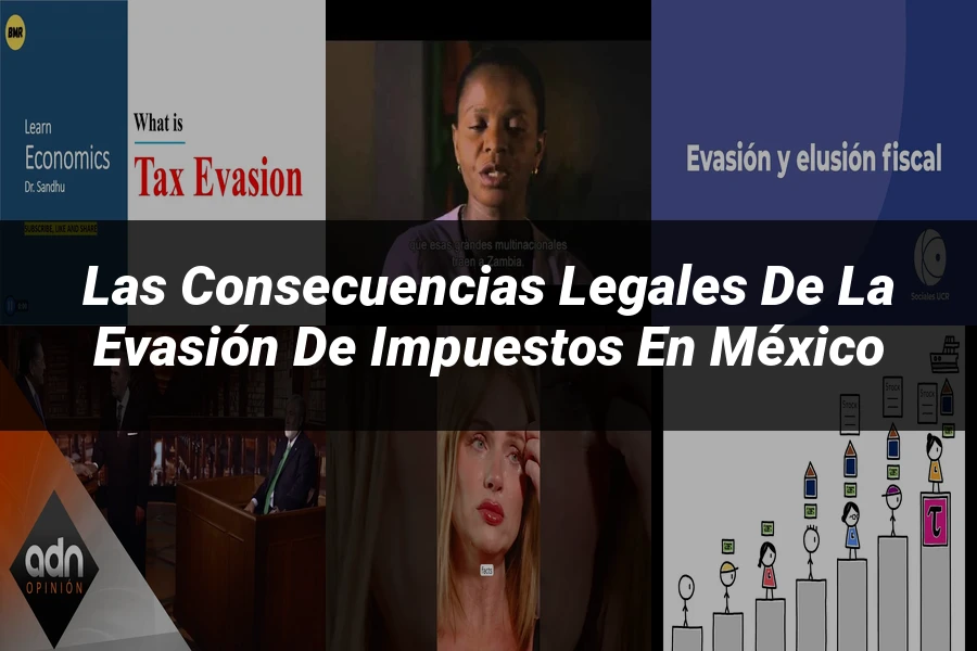 "Las consecuencias legales de la evasión de impuestos en México"