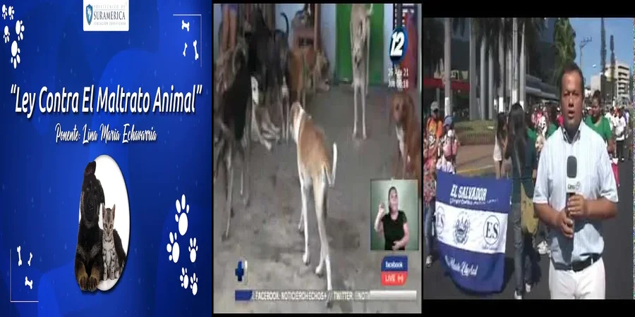 "Las leyes en México que protegen a los animales del maltrato"