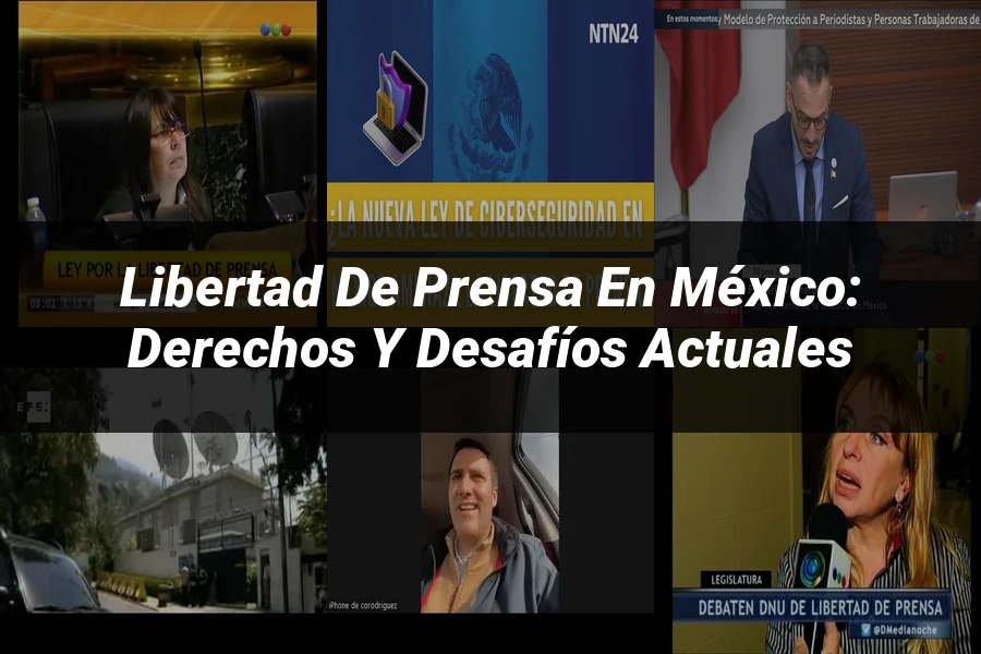 "Libertad de Prensa en México: Derechos y Desafíos Actuales"