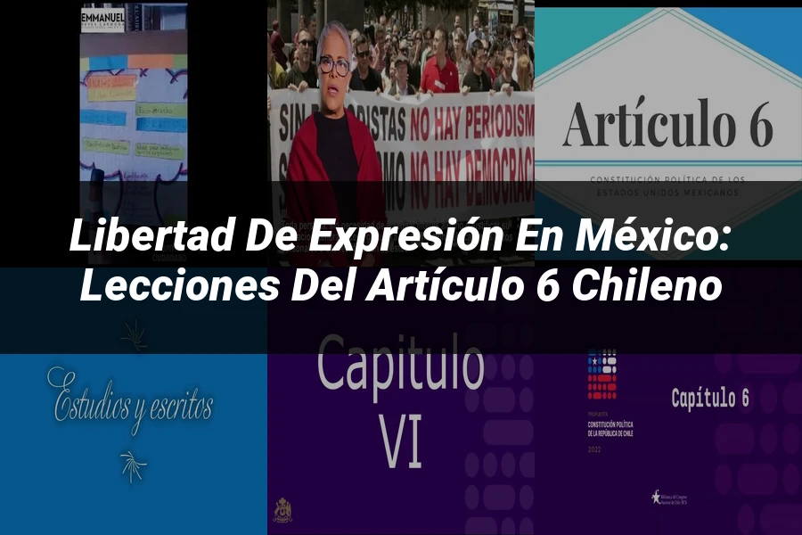"Libertad de expresión en México: Lecciones del artículo 6 chileno"