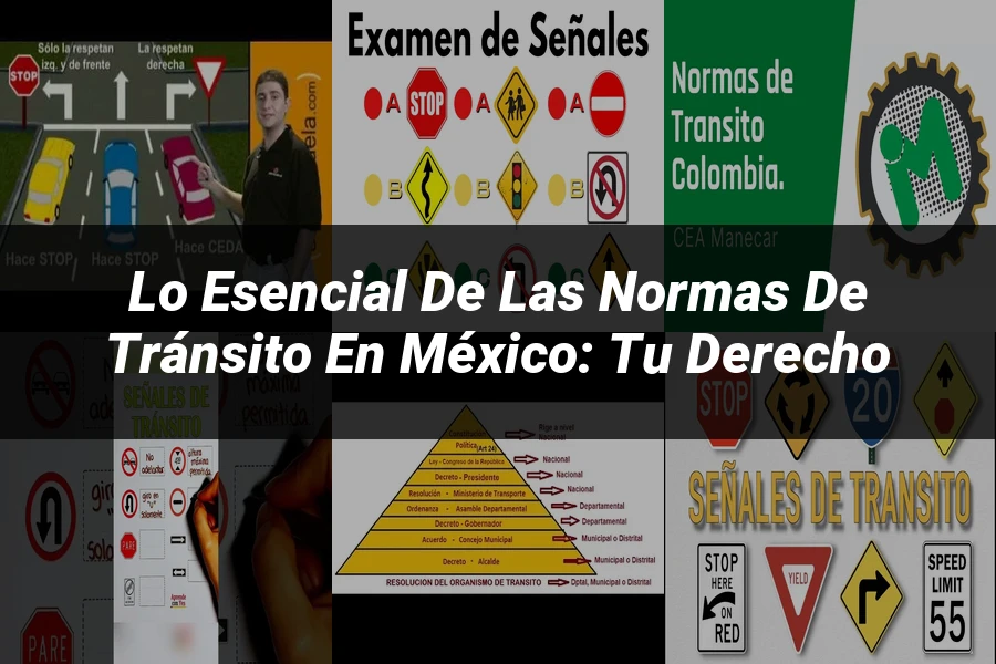 "Lo Esencial de las Normas de Tránsito en México: Tu Derecho"