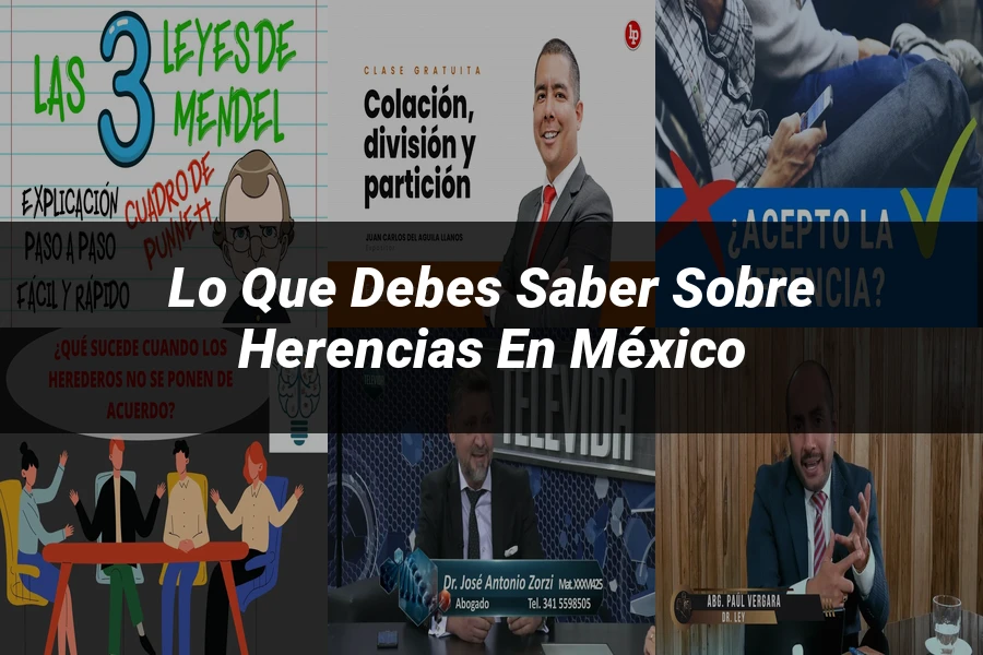 "Lo Que Debes Saber Sobre Herencias en México"