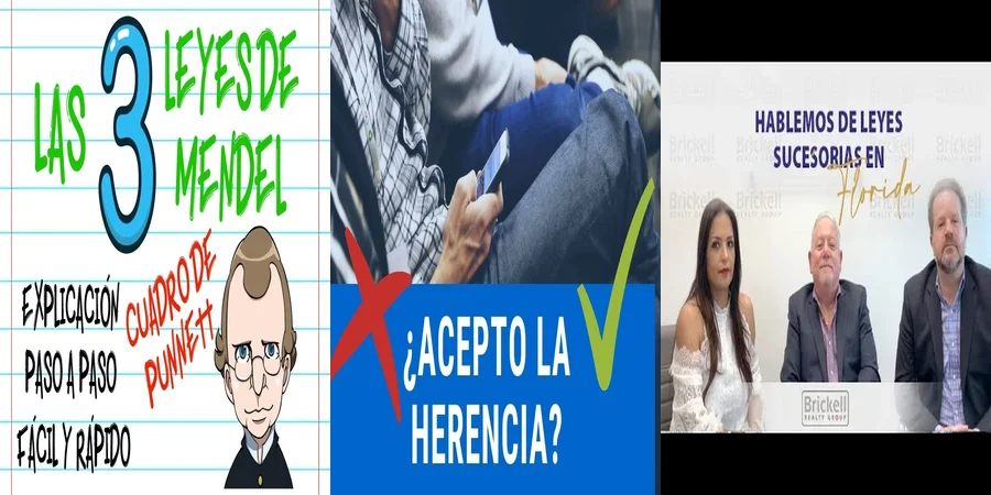 "Lo Que Debes Saber Sobre Herencias en México"