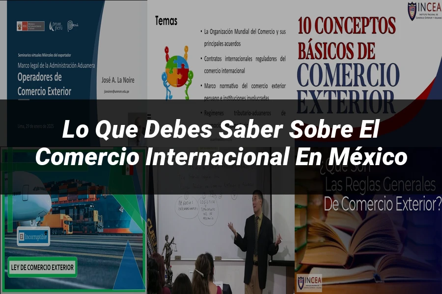 "Lo Que Debes Saber Sobre el Comercio Internacional en México"