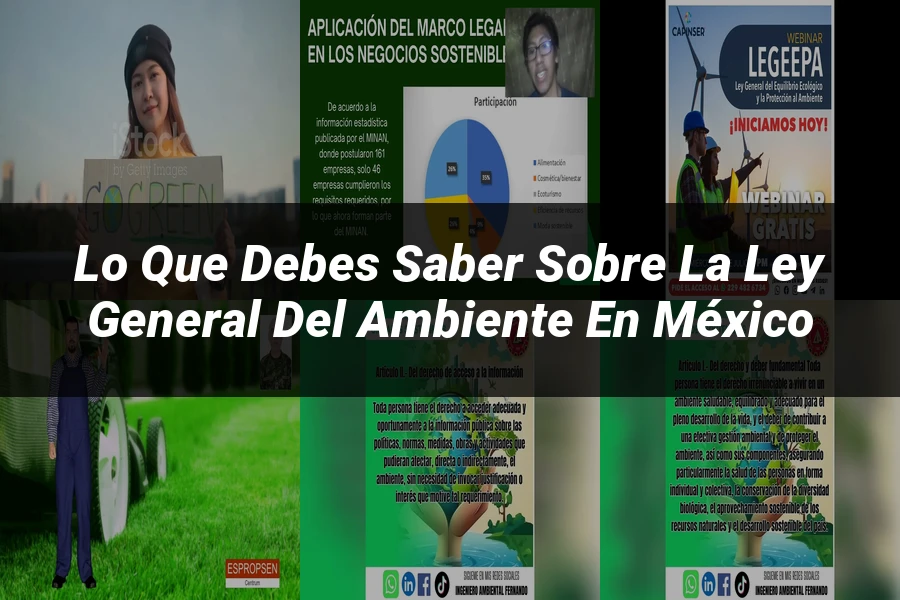 "Lo Que Debes Saber Sobre la Ley General del Ambiente en México"