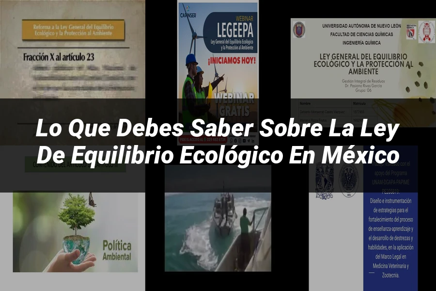 "Lo Que Debes Saber Sobre la Ley de Equilibrio Ecológico en México"