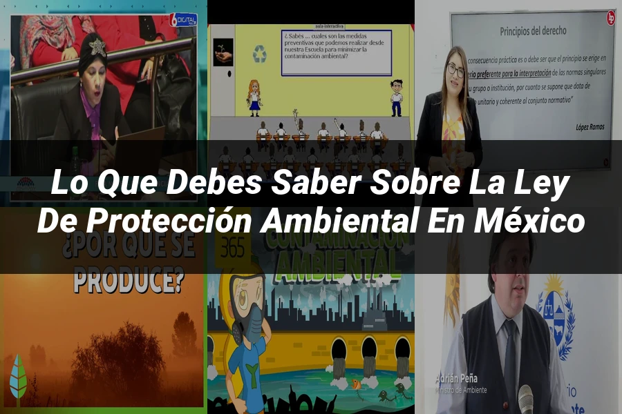 "Lo Que Debes Saber Sobre la Ley de Protección Ambiental en México"