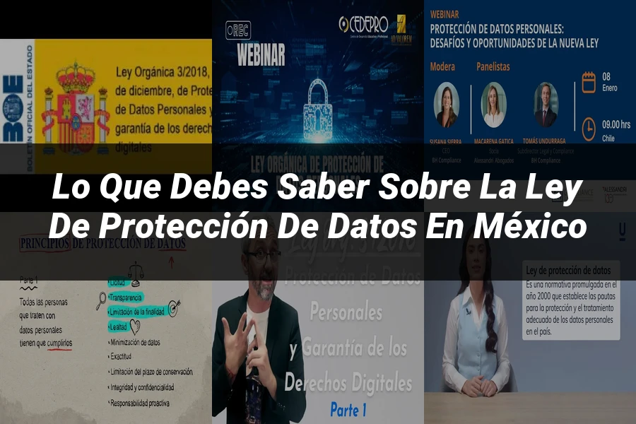 "Lo Que Debes Saber Sobre la Ley de Protección de Datos en México"