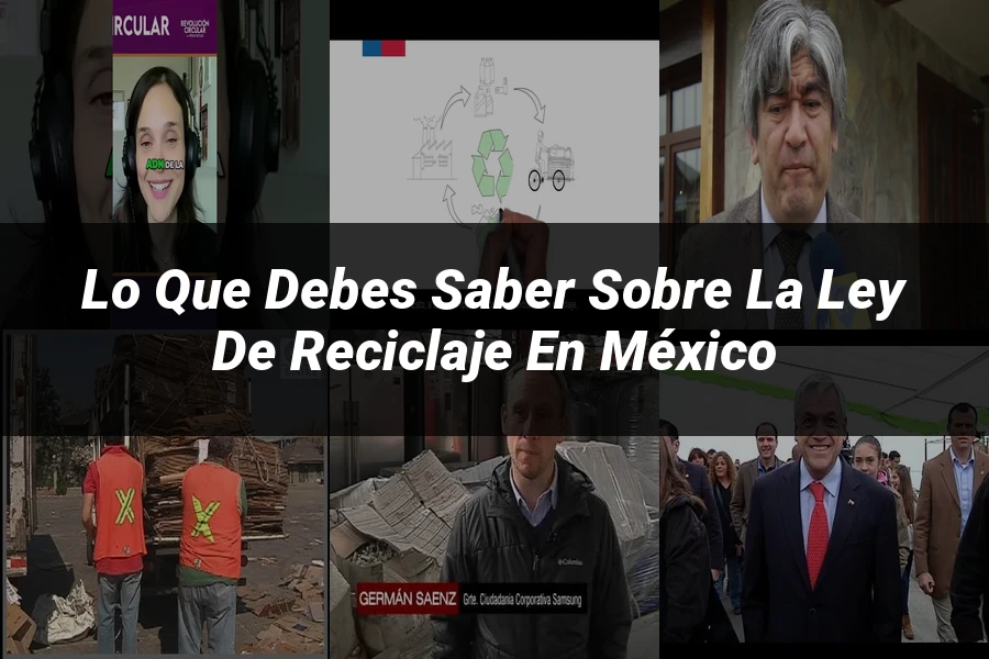 "Lo Que Debes Saber Sobre la Ley de Reciclaje en México"