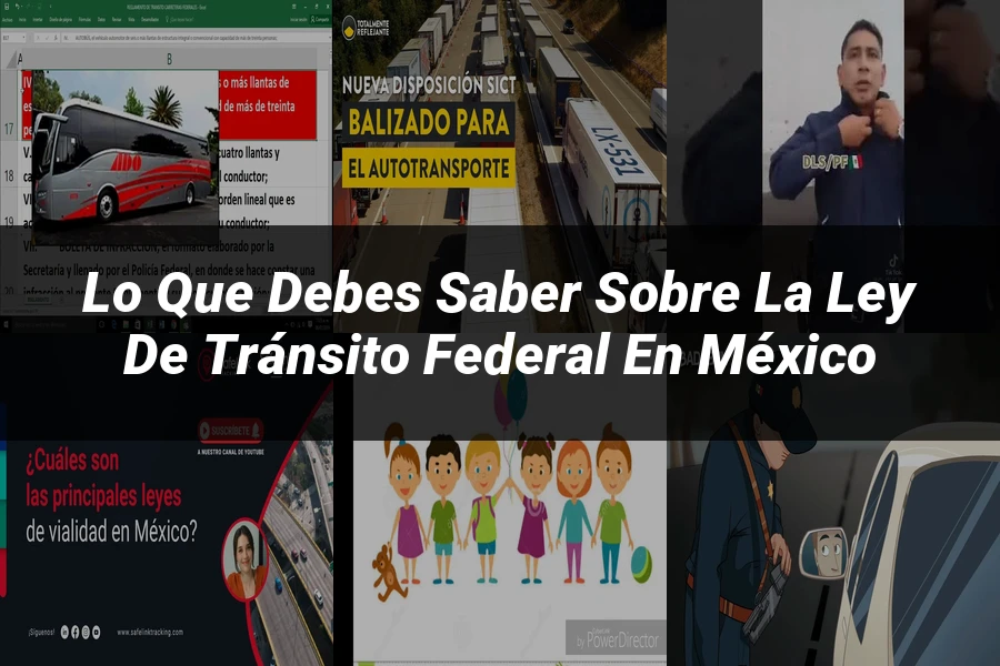 "Lo Que Debes Saber Sobre la Ley de Tránsito Federal en México"
