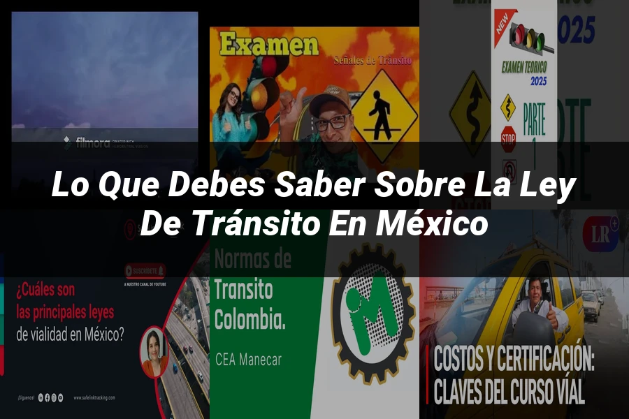 "Lo Que Debes Saber Sobre la Ley de Tránsito en México"