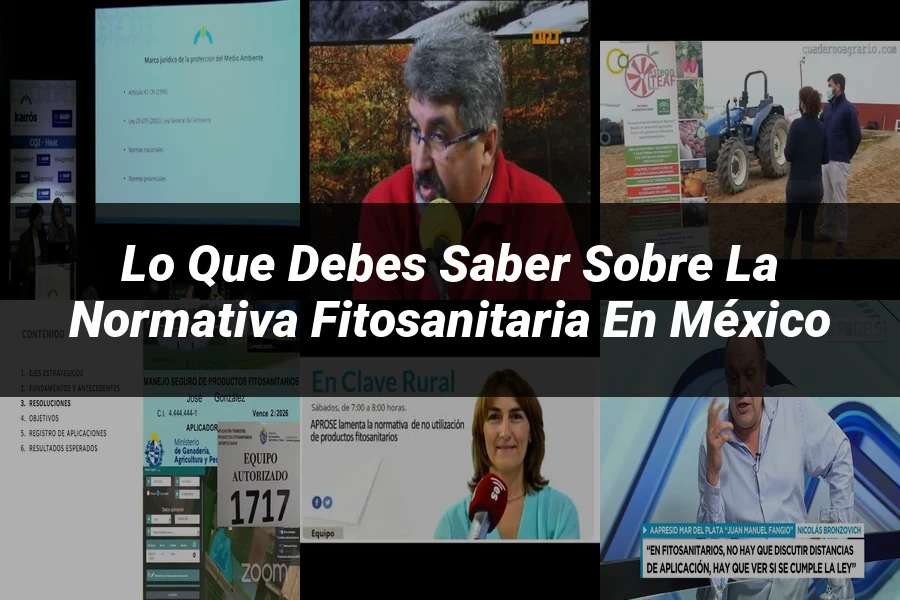 "Lo Que Debes Saber Sobre la Normativa Fitosanitaria en México"