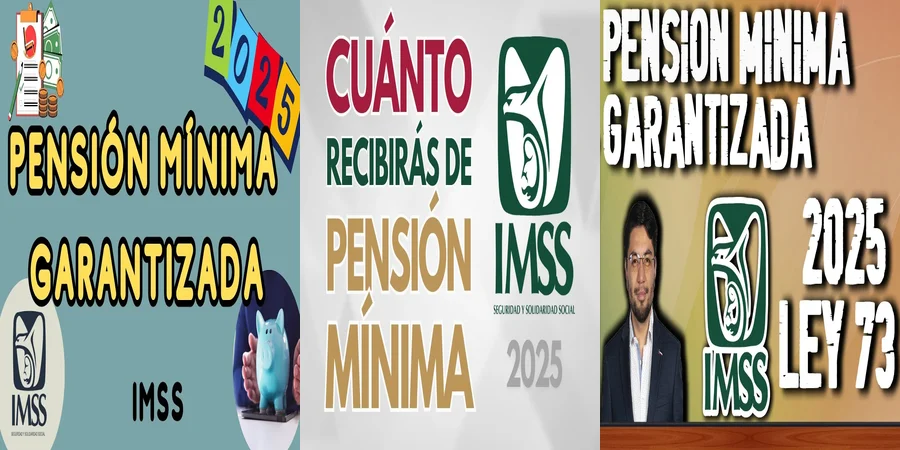 "Lo Que Debes Saber Sobre la Pensión Mínima Garantizada en México"