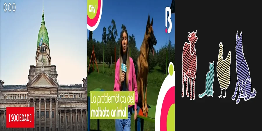 "Lo Que Debes Saber Sobre la Protección de Animales en México"