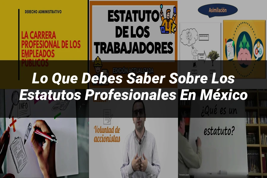 "Lo Que Debes Saber Sobre los Estatutos Profesionales en México"