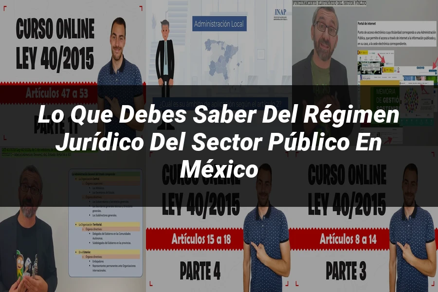 "Lo Que Debes Saber del Régimen Jurídico del Sector Público en México"