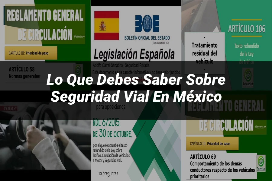 "Lo Que Debes Saber sobre Seguridad Vial en México"