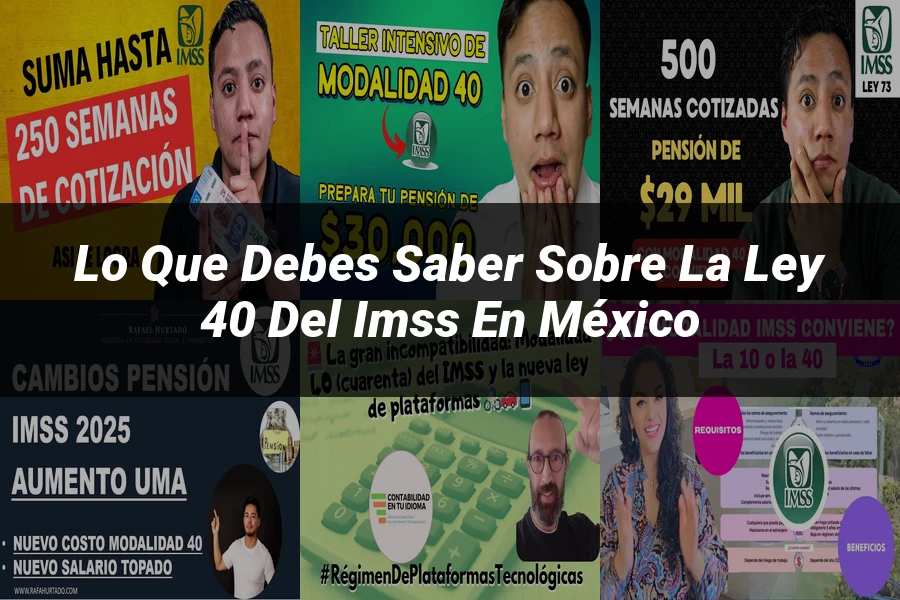 "Lo Que Debes Saber sobre la Ley 40 del IMSS en México"