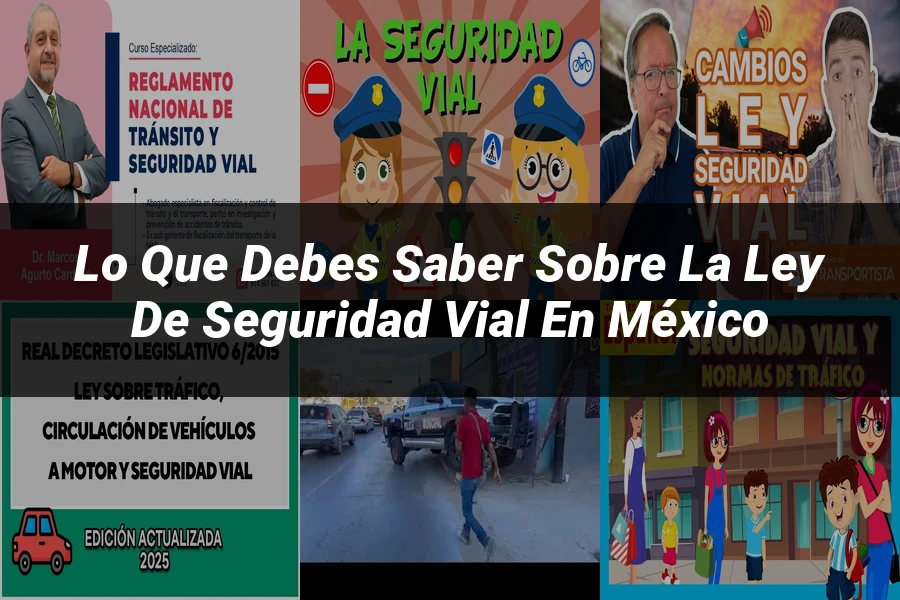 "Lo Que Debes Saber sobre la Ley de Seguridad Vial en México"