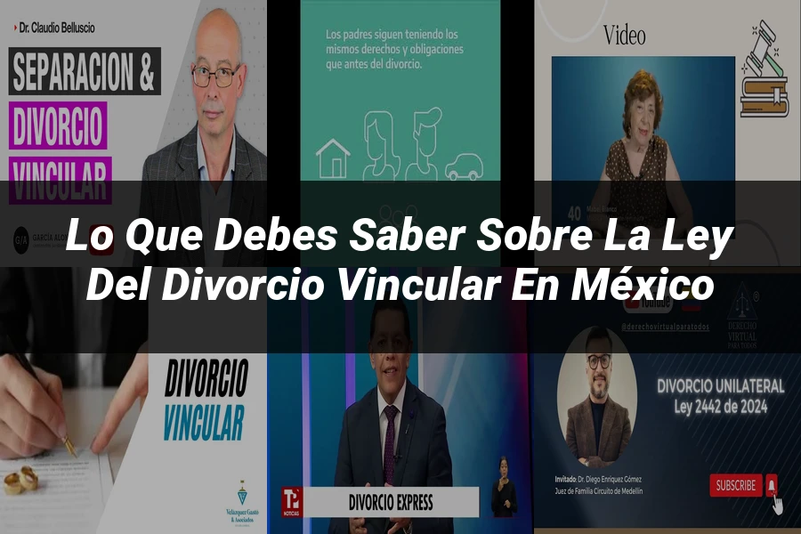 "Lo Que Debes Saber sobre la Ley del Divorcio Vincular en México"
