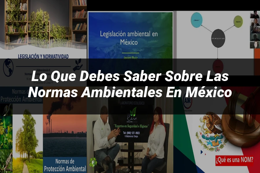 "Lo Que Debes Saber sobre las Normas Ambientales en México"