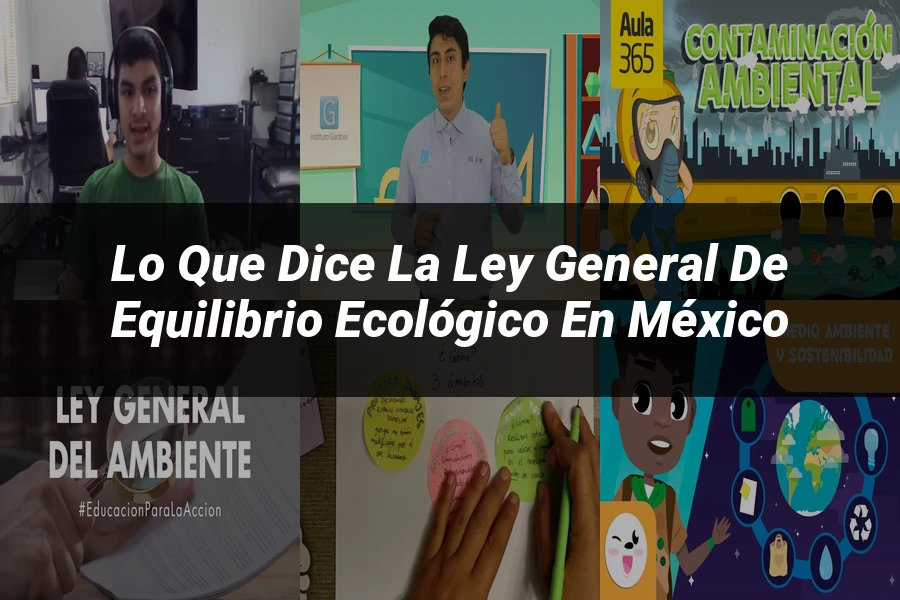 "Lo Que Dice la Ley General de Equilibrio Ecológico en México"