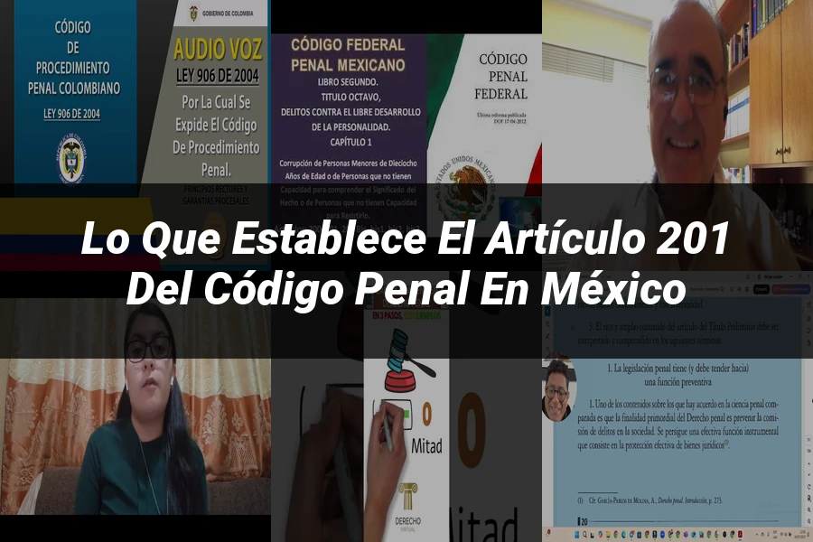 "Lo Que Establece el Artículo 201 del Código Penal en México"
