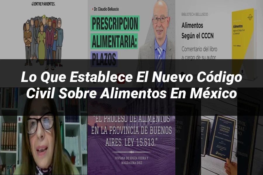 "Lo Que Establece el Nuevo Código Civil sobre Alimentos en México"