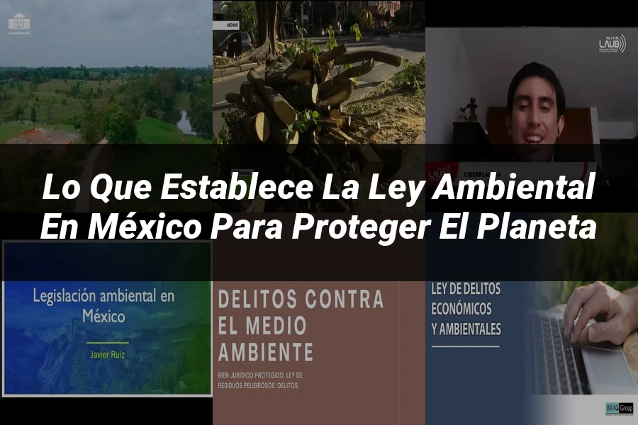 "Lo Que Establece la Ley Ambiental en México para Proteger el Planeta"