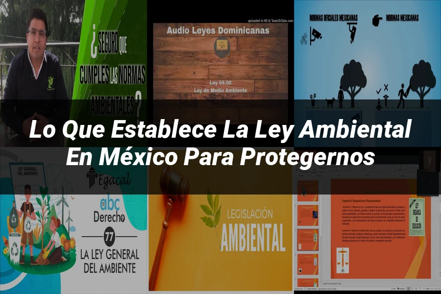 "Lo Que Establece la Ley Ambiental en México para Protegernos"