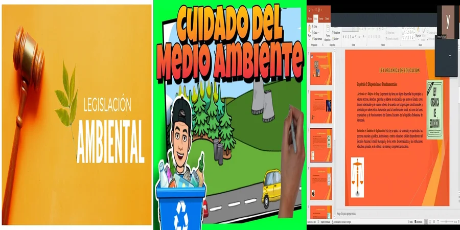 "Lo Que Establece la Ley Ambiental en México para Protegernos"