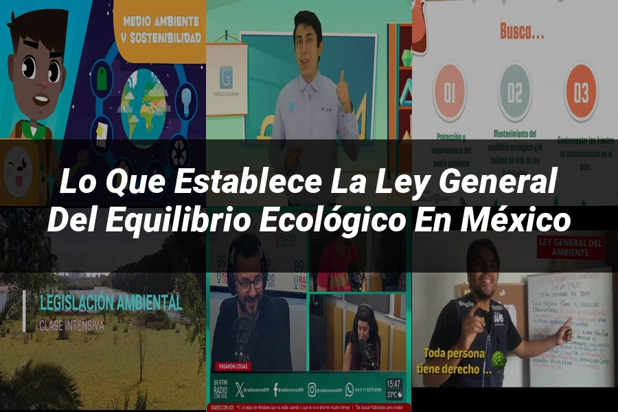 "Lo Que Establece la Ley General del Equilibrio Ecológico en México"