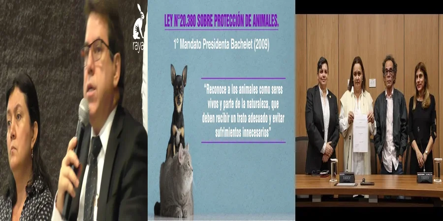 "Lo Que Establece la Ley de Animales Sintientes en México"