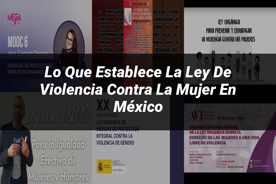 "Lo Que Establece la Ley de Violencia contra la Mujer en México"
