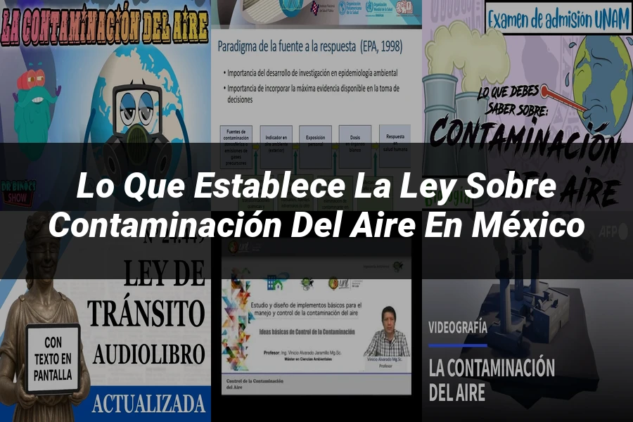 "Lo Que Establece la Ley sobre Contaminación del Aire en México"