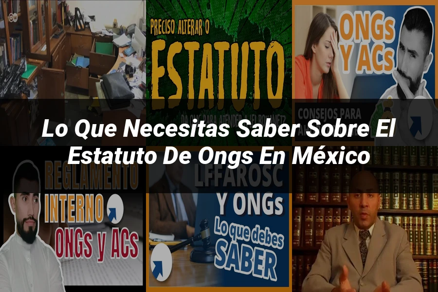 "Lo Que Necesitas Saber sobre el Estatuto de ONGs en México"