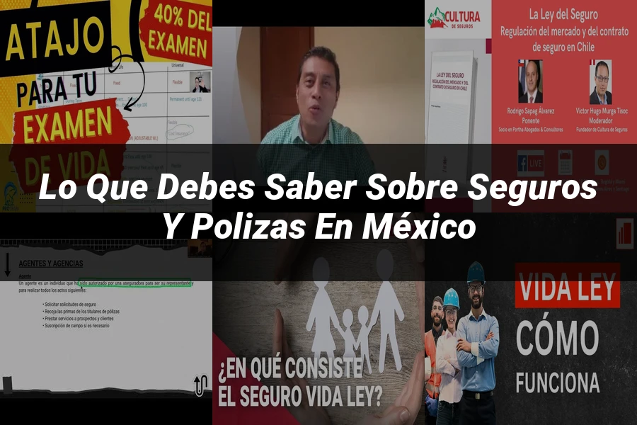 "Lo que Debes Saber sobre Seguros y Polizas en México"