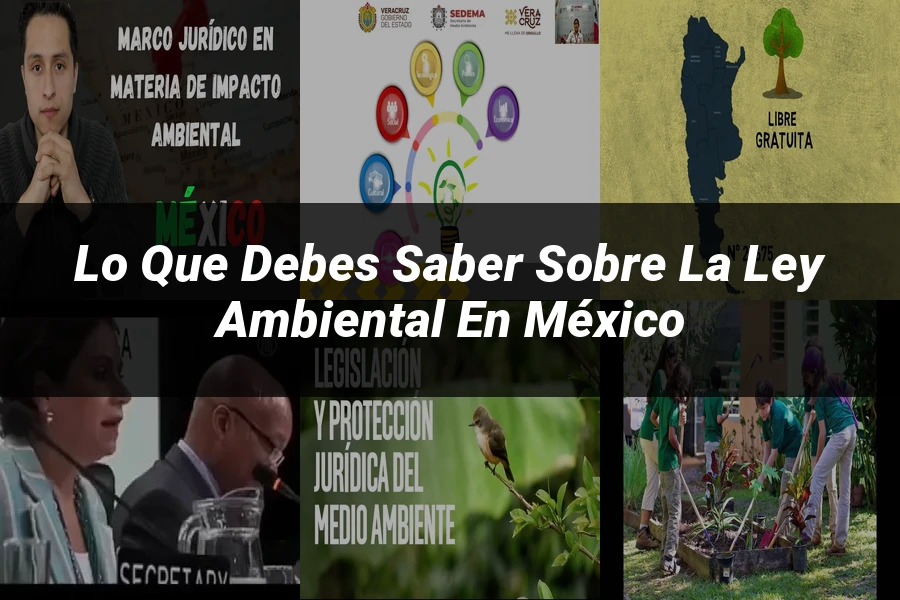 "Lo que Debes Saber sobre la Ley Ambiental en México"