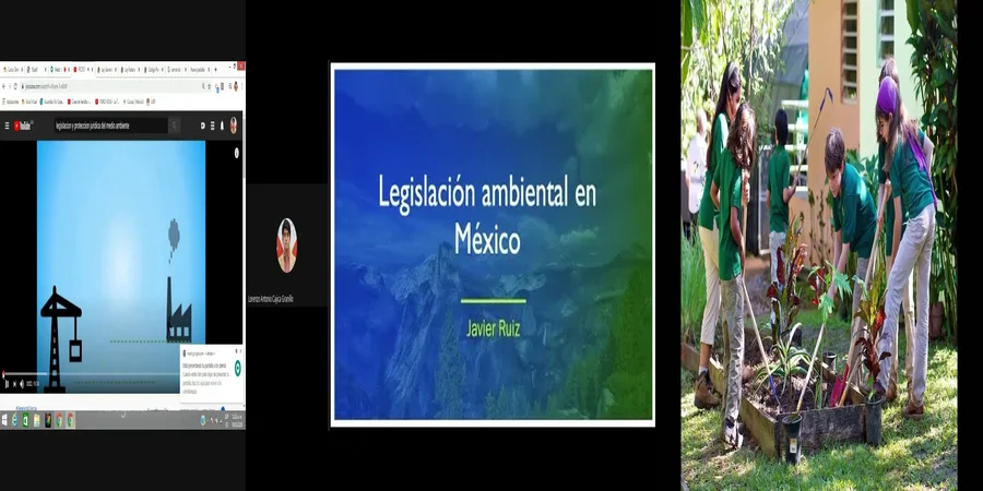 "Lo que Debes Saber sobre la Ley Ambiental en México"
