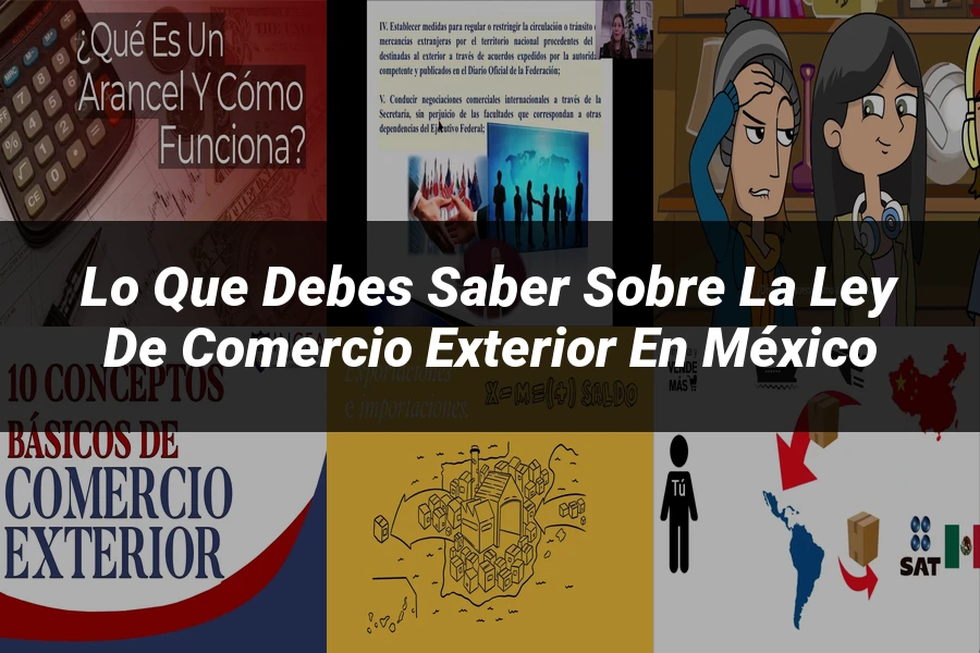 "Lo que Debes Saber sobre la Ley de Comercio Exterior en México"