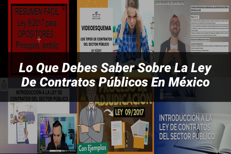 "Lo que Debes Saber sobre la Ley de Contratos Públicos en México"