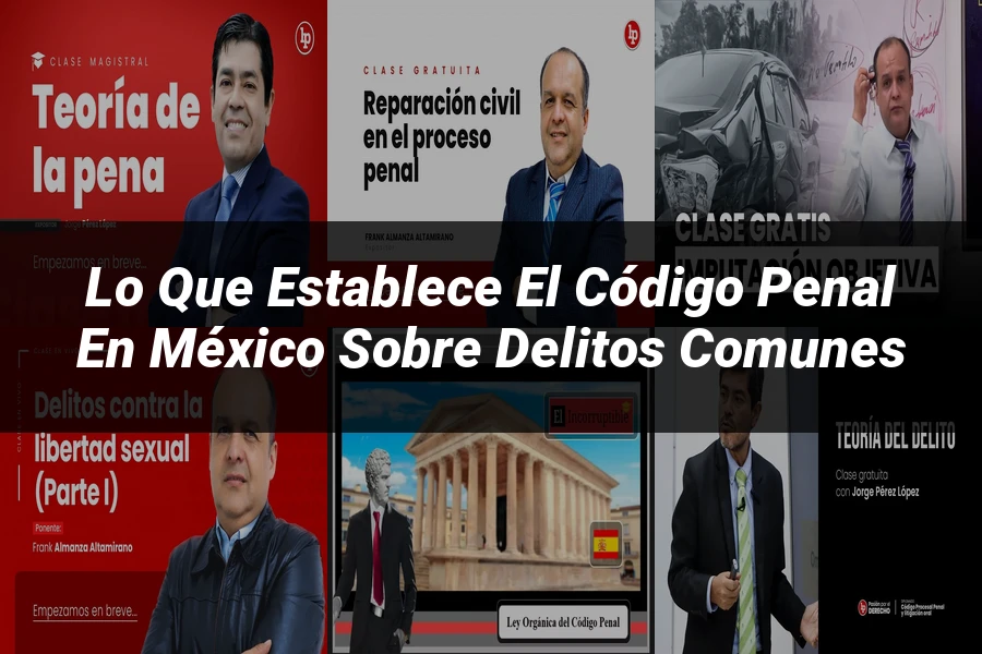 "Lo que Establece el Código Penal en México sobre Delitos Comunes"