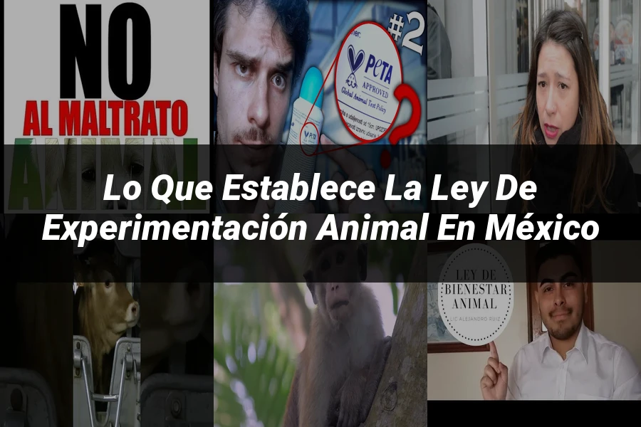 "Lo que Establece la Ley de Experimentación Animal en México"