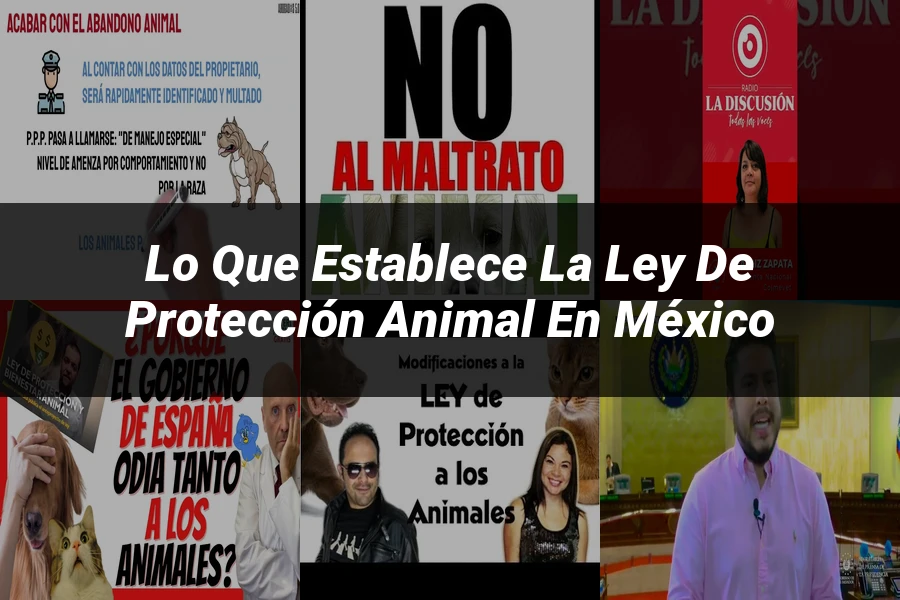 "Lo que Establece la Ley de Protección Animal en México"