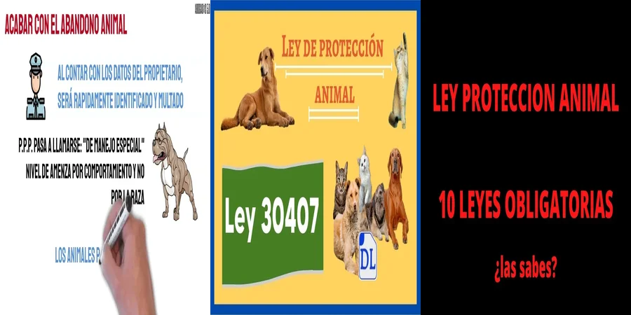 "Lo que Establece la Ley de Protección Animal en México"